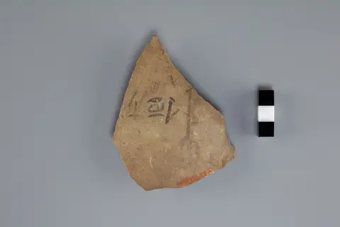 Ostracon