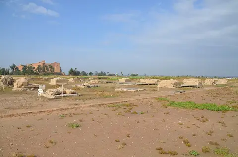 The Apadana, a large hypostyle room of 36 columns in the Palace of Darius, Susa, capital of Elam and of the Achaemenid Empire, Iran (46950284624)