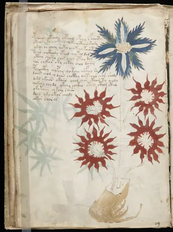 Voynich Manuscript (32)