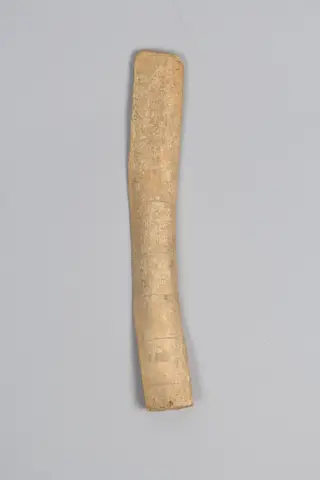 Oracle bone