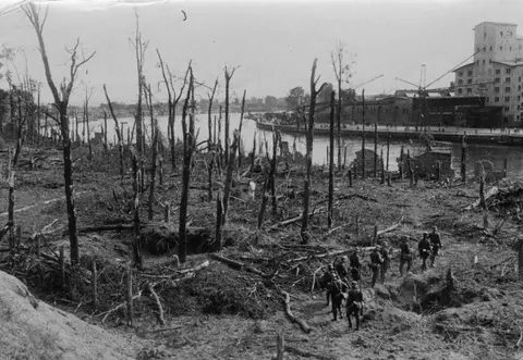 Bundesarchiv Bild 183-2008-0513-500, Danzig, Westerplatte, Wald