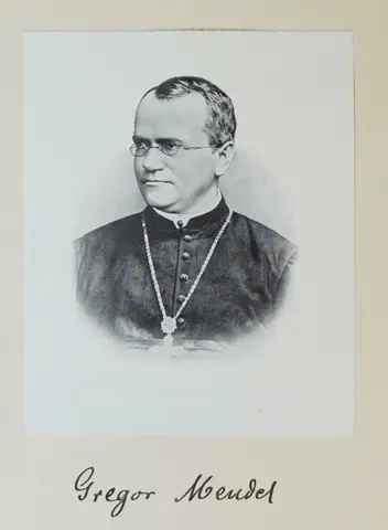 Porträt von Gregor Mendel