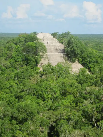 In Calakmul, Mexico (8726963632)
