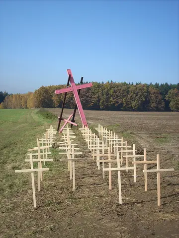 Budinka krize 2