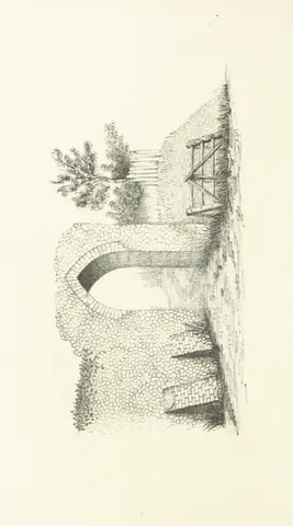 Kett's Oak from "Kett's Rebellion in Norfolk; being a history of the great civil commotion that occurred at the time of the Reformation, in the reign of Edward VI. Founded on the “Commoyson in Norfolk, 1549,” by N. Sotherton; and the “De Furoribus Norfolciensium” of Nevylle; and corroborated by extracts from the Privy Council Register, documents preserved in the State Paper and other Record Offices, the Harleian and other MSS. ... With illustrations".