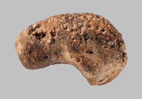 Bird head with inscription of Ashurbanipal