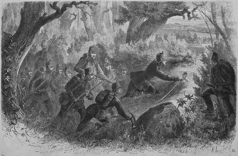 Die Gartenlaube (1866) b 469