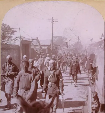 Boxer-tianjing-left
