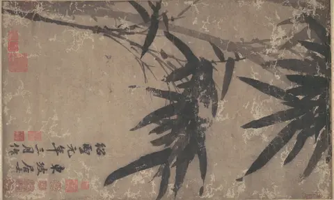 Bamboo