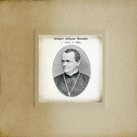 Gregor Johann Mendel