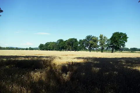 25.7.20 1 Bitva u Sudomer 006 (50155369117)