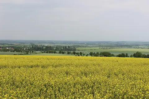 Lipanské bojiště