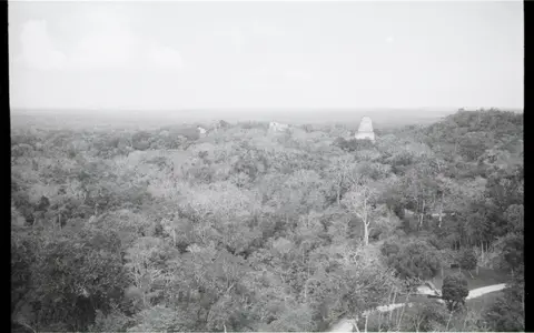 Tikal (TIK)