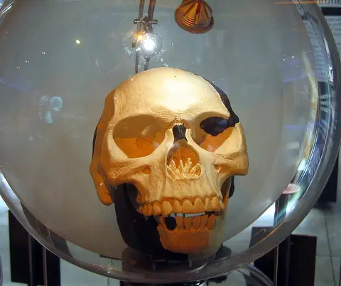 Sterkfontein Piltdown man2